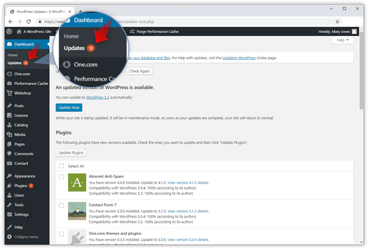 Updating CMS